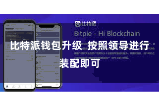 比特派钱包升级  按照领导进行装配即可