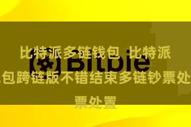 比特派多链钱包 比特派钱包跨链版不错结束多链钞票处置