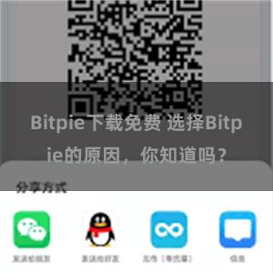 Bitpie下载免费 选择Bitpie的原因，你知道吗？