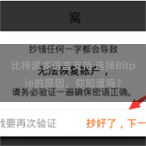 比特派多语言支持 选择Bitpie的原因，你知道吗？