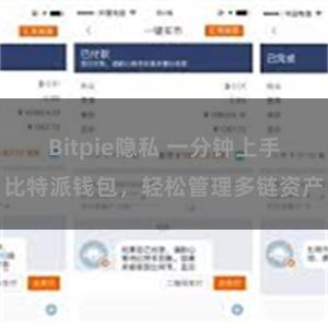 Bitpie隐私 一分钟上手比特派钱包，轻松管理多链资产