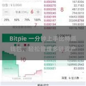 Bitpie 一分钟上手比特派钱包，轻松管理多链资产