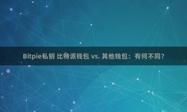 Bitpie私钥 比特派钱包 vs. 其他钱包：有何不同？