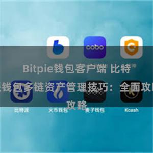 Bitpie钱包客户端 比特派钱包多链资产管理技巧：全面攻略