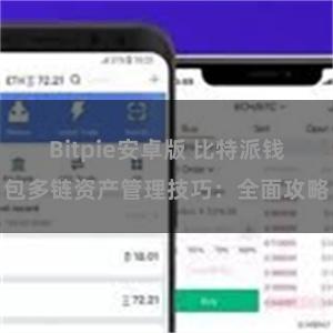 Bitpie安卓版 比特派钱包多链资产管理技巧：全面攻略