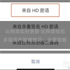 比特派实时更新 比特派钱包多链资产管理技巧：全面攻略