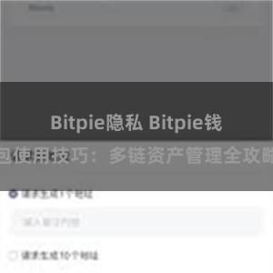 Bitpie隐私 Bitpie钱包使用技巧：多链资产管理全攻略