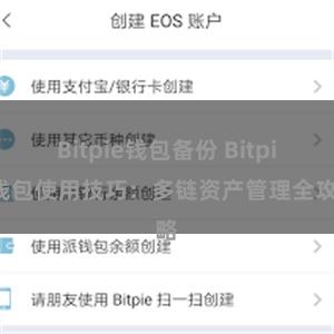 Bitpie钱包备份 Bitpie钱包使用技巧：多链资产管理全攻略