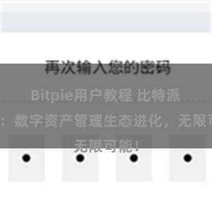 Bitpie用户教程 比特派钱包：数字资产管理生态进化，无限可能！