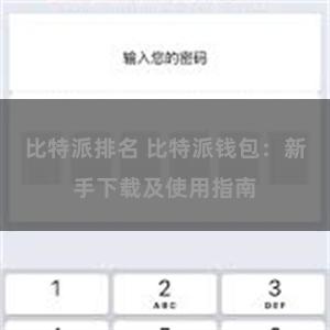 比特派排名 比特派钱包：新手下载及使用指南