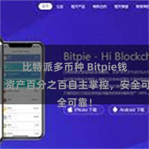 比特派多币种 Bitpie钱包：资产百分之百自主掌控，安全可靠！