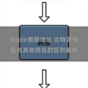 Bitpie教程地址 比特派钱包与其他钱包的区别解析