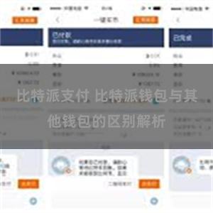 比特派支付 比特派钱包与其他钱包的区别解析