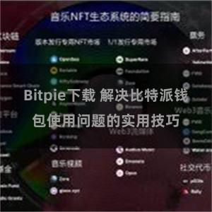 Bitpie下载 解决比特派钱包使用问题的实用技巧