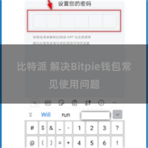 比特派 解决Bitpie钱包常见使用问题