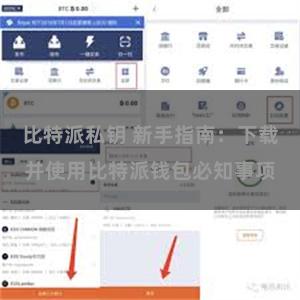 比特派私钥 新手指南：下载并使用比特派钱包必知事项