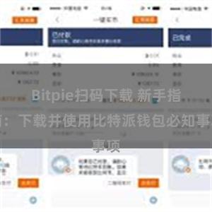 Bitpie扫码下载 新手指南：下载并使用比特派钱包必知事项