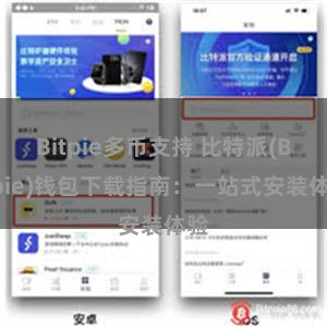 Bitpie多币支持 比特派(Bitpie)钱包下载指南：一站式安装体验