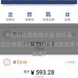 Bitpie钱包教程大全 如何通过比特派(Bitpie)设置交易加速？