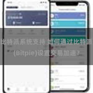 比特派系统支持 如何通过比特派(Bitpie)设置交易加速？