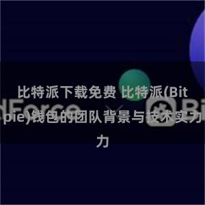 比特派下载免费 比特派(Bitpie)钱包的团队背景与技术实力