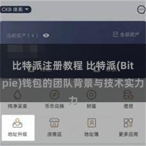 比特派注册教程 比特派(Bitpie)钱包的团队背景与技术实力