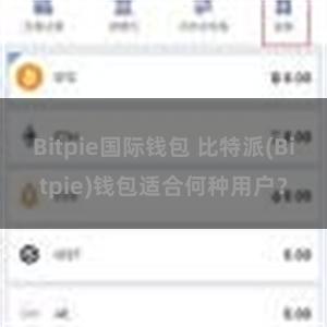 Bitpie国际钱包 比特派(Bitpie)钱包适合何种用户？