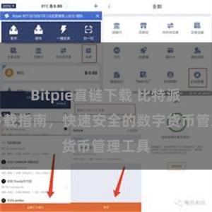 Bitpie直链下载 比特派钱包下载指南，快速安全的数字货币管理工具