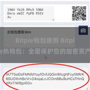 Bitpie钱包使用 Bitpie热钱包：全面保护您的加密资产