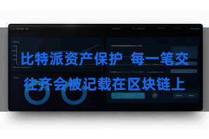 比特派资产保护  每一笔交往齐会被记载在区块链上