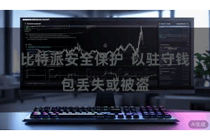 比特派安全保护  以驻守钱包丢失或被盗