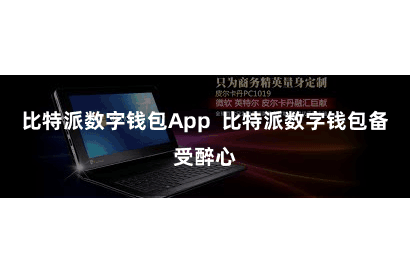 比特派数字钱包App  比特派数字钱包备受醉心